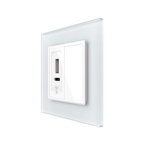 Priza USB-A + USB-C cu Rama Din Sticla si Tasta Falsa LIVOLO imagine