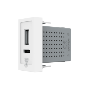 Modul Priza USB-A + USB-C, 20W LIVOLO imagine