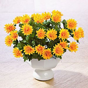 Buchet de asteri imagine