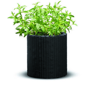 Jardinieră din plastic Keter Ratan, antracit, 28 x28 x 28, 3 cm, gri imagine
