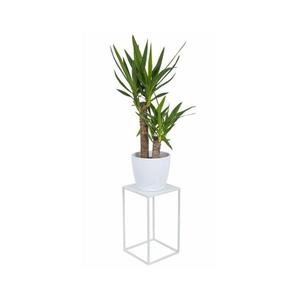 Suport pentru flori 40x24 cm, alb imagine