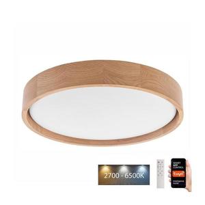 Brilagi - Plafonier MANAROLA SMART LED 24W 230V cu telecomandă Tuya imagine