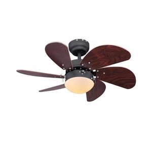 lator de tavan Globo 03800 RIVALDO 1xE14/60W/230V imagine
