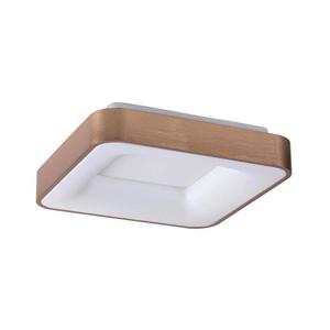 Rabalux 5056 - Plafonieră LED CARMELA LED/30W/230V imagine