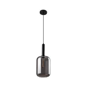 Lustră pe cablu LISSANDRA 1xE27/40W/230V Rabalux 72101 imagine