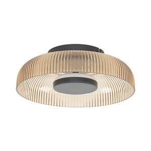 Plafonieră LED PASSO WL-36482-YLL-LED, 8 W, 230 V, 3000 K, Ø 25 cm, bej fumuriu imagine
