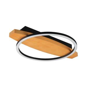 Plafonieră LED MELISA, 12 W, 230 V, 30 x 40 cm, pin imagine