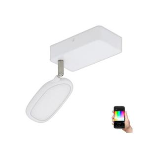 Eglo 97691 - Spot LED RGB PALOMBARE-C 1xLED/5W/230V imagine