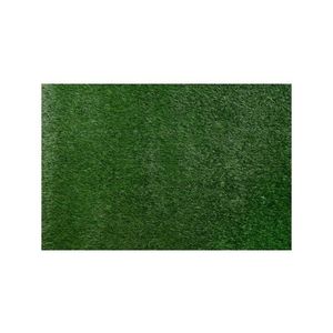 Iarbă artificială ALLGREEN 200 x 400 cm, înălțime 30 mm, verde imagine