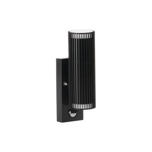 46203 - Aplică de exterior cu senzor RADILO, spot de perete, 2xGU10/11W/230V, IP44, negru imagine