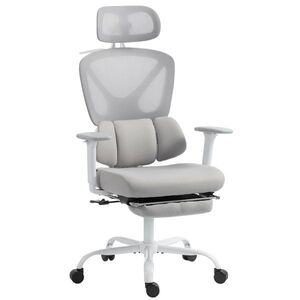 Imagine HOMCOM Scaun de birou ergonomic, fotoliu de birou cu suport lombar dinamic adaptiv, 73x75x120-128cm, gri | Aosom Romania