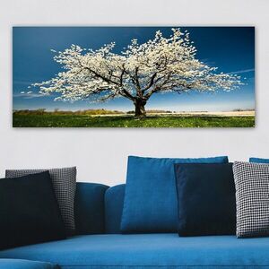 Imagine Tablou decorativ, YTY1233464_50120, Rama din lemn (grosime 3 cm), Multicolor