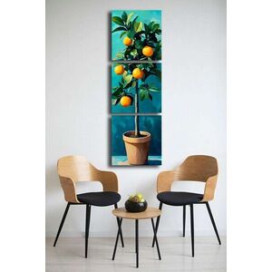 Imagine Set 3 tablouri decorative, 3P4545BSRC-004, Cadru: 100% PIN (Grosime: 2, 8 mm), Multicolor