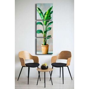 Imagine Set 3 tablouri decorative, 3P4545BSRC-002, Cadru: 100% PIN (Grosime: 2, 8 mm), Multicolor