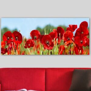 Imagine Tablou decorativ, YTY1006066429_50120, Rama din lemn (grosime 3 cm), Multicolor