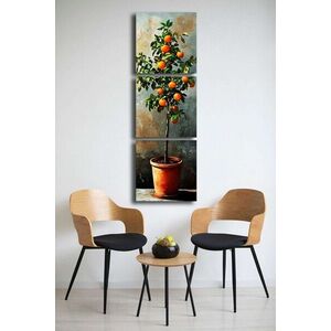 Imagine Set 3 tablouri decorative, 3P4545BSRC-007, Cadru: 100% PIN (Grosime: 2, 8 mm), Multicolor