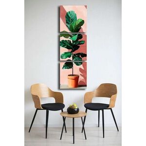 Imagine Set 3 tablouri decorative, 3P4545BSRC-001, Cadru: 100% PIN (Grosime: 2, 8 mm), Multicolor