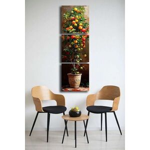 Imagine Set 3 tablouri decorative, 3P4545BSRC-006, Cadru: 100% PIN (Grosime: 2, 8 mm), Multicolor