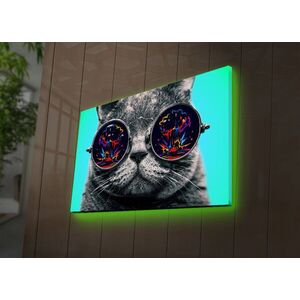 Imagine Tablou decorativ cu lumina LED, 4570DACT-61, Dimensiune: 45 x 70 cm, Multicolor
