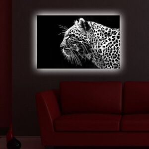 Imagine Tablou decorativ cu lumina LED, 4570DACT-44, Dimensiune: 45 x 70 cm, Multicolor