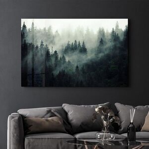 Imagine Tablou decorativ, CAM-4051, Dimensiuni: 70 x 110 cm, Multicolor