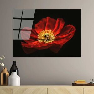 Imagine Tablou decorativ, UV-204 70 x 100, 70 x 100 cm, Multicolor
