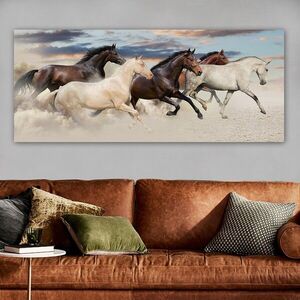 Imagine Tablou decorativ, YTY103310236866_50120, Rama din lemn (grosime 3 cm), Multicolor