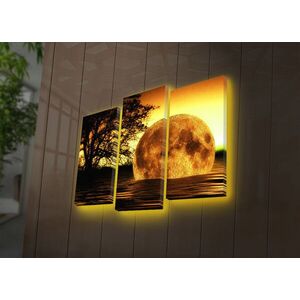 Imagine Set 3 tablouri decorative cu lumina LED, 3PATDACT-26, 20 x 39 cm, 2 piese, Multicolor