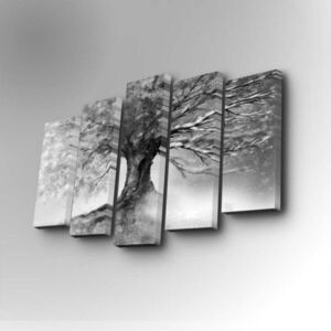 Imagine Set 5 tablouri decorative, 5PUC-042, Dimensiune: 14 x 50 cm (1 bucată), Multicolor