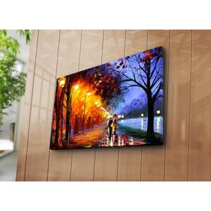 Imagine Tablou decorativ, 5070C-45, Dimensiune: 45 x 70 cm, Multicolor