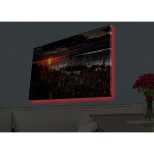Imagine Tablou decorativ cu lumina LED, 4570HDACT-002, Dimensiune: 45 x 70 cm, Multicolor