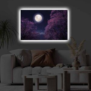 Imagine Tablou decorativ cu lumina LED, 4570KTLGDACT, Dimensiune: 45 x 70 cm, Multicolor