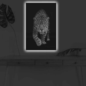 Imagine Tablou decorativ cu lumina LED, 4570DHDACT-055, Dimensiune: 45 x 70 cm, Multicolor