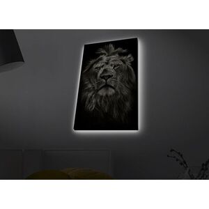 Imagine Tablou decorativ cu lumina LED, 4570MDACT-058, Dimensiune: 45 x 70 cm, Multicolor