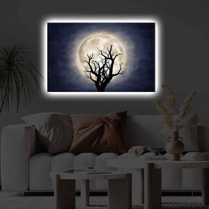 Imagine Tablou decorativ cu lumina LED, 4570KTLGDACT, Dimensiune: 45 x 70 cm, Multicolor