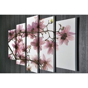 Imagine Set 5 tablouri decorative, BC002, 70 x 20 cm, Multicolor