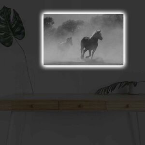 Imagine Tablou decorativ cu lumina LED, 4570DHDACT-125, Dimensiune: 45 x 70 cm, Multicolor