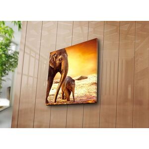 Imagine Tablou decorativ, 4545K-28, Dimensiune: 45 x 45 cm, Multicolor