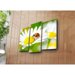 Imagine Set 3 tablouri decorative, 3PATK-77, 20 x 39 cm, 2 piese, Multicolor