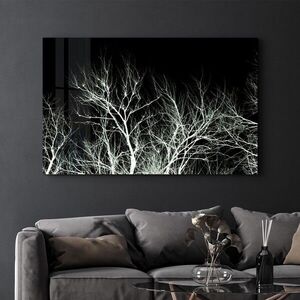 Imagine Tablou decorativ, CAM-3059, Dimensiune: 35 x 55 cm, Multicolor