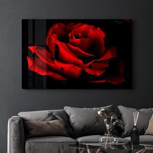 Imagine Tablou decorativ, OGLS-1208, Dimensiune: 35 x 55 cm, Multicolor
