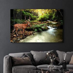 Imagine Tablou decorativ, CAM-3019, Dimensiuni: 46 x 72 cm, Multicolor