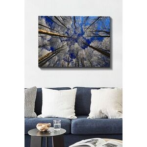 Imagine Tablou decorativ, Kanvas Tablo (70 x 100), Rama din lemn (grosime 3 cm), Multicolor