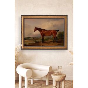 Imagine Tablou decorativ, ATCRCVCNVSMDL37, Dimensiune: 40 x 60 cm, Multicolor