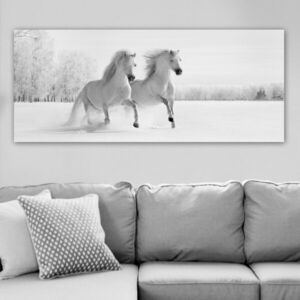 Imagine Tablou decorativ, YTY203158396_50120, Rama din lemn (grosime 3 cm), Multicolor