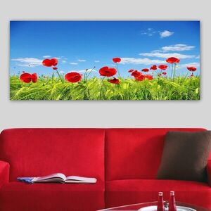 Imagine Tablou decorativ, YTY961713_50120, Rama din lemn (grosime 3 cm), Multicolor