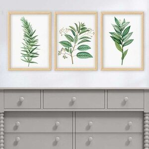 Imagine Set 3 tablouri decorative, 3NTC_501923_5575, Polistiren, Multicolor