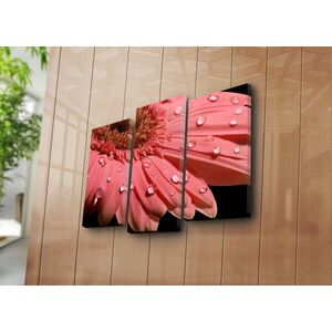 Imagine Set 3 tablouri decorative, 3KBPAT-10, 45 x 20 cm, Multicolor