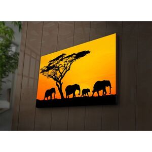 Imagine Tablou decorativ cu lumina LED, 4570İACT-53, Dimensiune: 45 x 70 cm, Multicolor