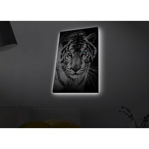 Imagine Tablou decorativ cu lumina LED, 4570MDACT-053, Dimensiune: 45 x 70 cm, Multicolor
